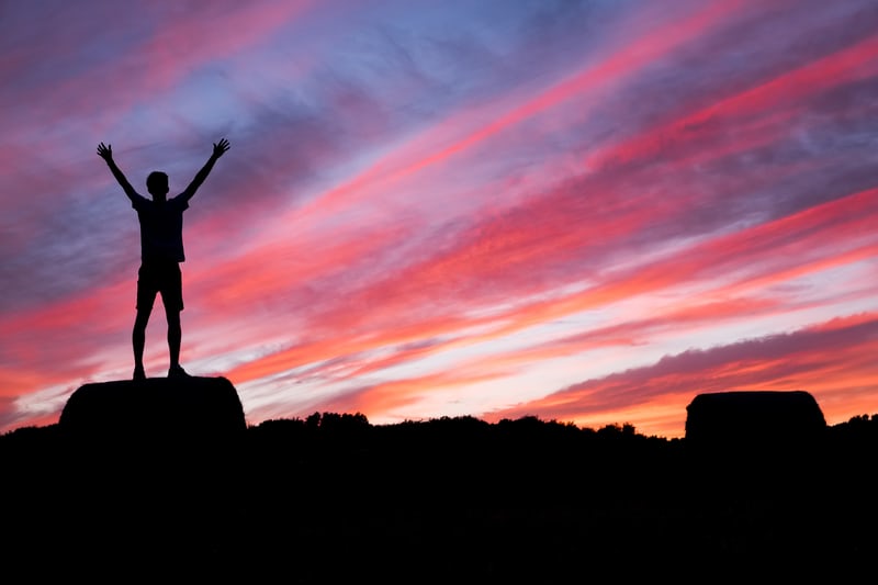 Health, Wealth and Wisdom #2