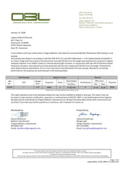 Legacy Level III+ Hard Plate 2