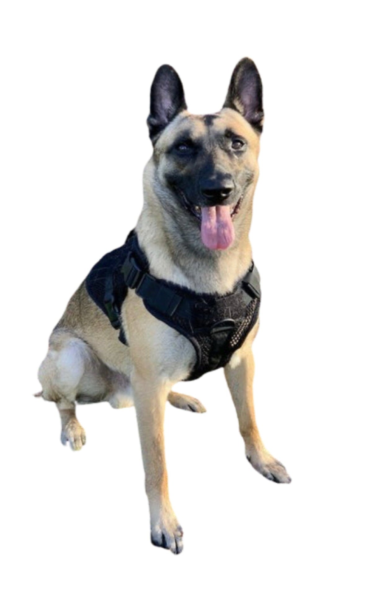 Tactical Dog Harness & 2 Pouches & 3 Patches Military Vest German